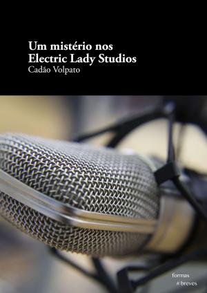 Cover of the book Um mistério nos Electric Lady Studios by Ricardo Lísias