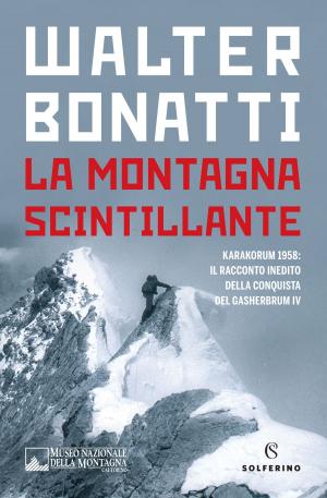 Book cover of La montagna scintillante