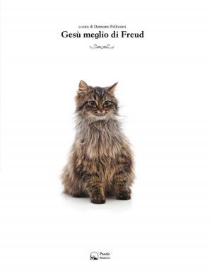 Book cover of Gesù Meglio di Freud