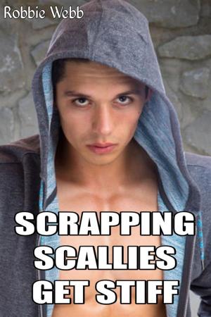 Cover of the book Scrapping Scallies Get Stiff by Robbie Webb, Taboo Tommy