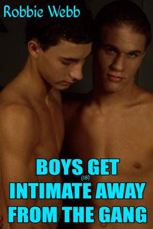 Cover of the book Boys(18) Get Intimate Away From The Gang by Robbie Webb