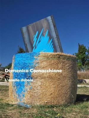 Cover of the book L'anello debole by Aldama Fine Art
