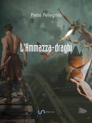 Cover of the book L'Ammazza-draghi by Gracen Miller