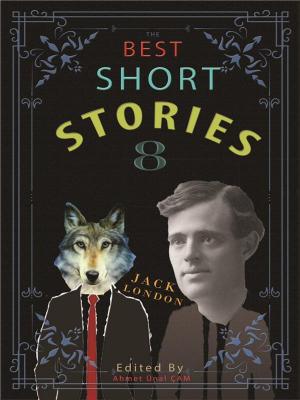 Cover of the book The Best Short Stories - 8 by Nathaniel Hawthorne, Edith Wharton, Louisa May Alcott, Kate Chopin, Laura E. Richards, George Ade, Herman Melville, Mark twain, Harriet Beecher Stowe, T.S. Arthur, Edited by Ahmet Ünal ÇAM