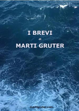 Book cover of I BREVI di Marti Gruter