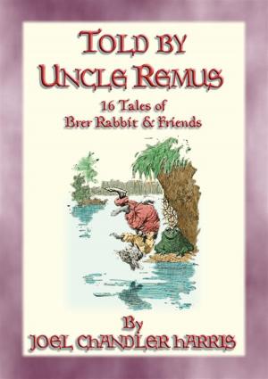 Book cover of TOLD BY UNCLE REMUS - 16 tales of Brer Rabbit and Friends