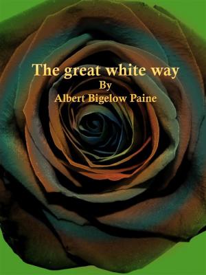 Book cover of The great white way