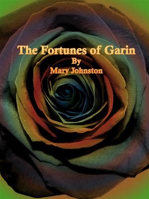 Cover of the book The Fortunes of Garin by Edith Wharton