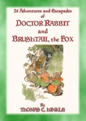 Cover of DOCTOR RABBIT and the BRUSHTAIL FOX - 24 adventures and escapades of Doctor Rabbit