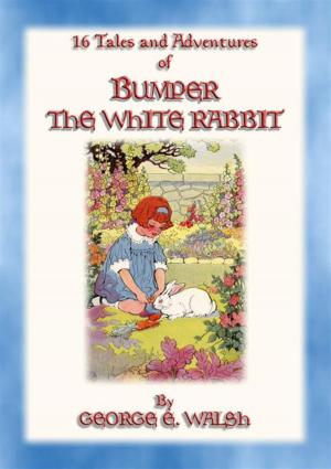 Book cover of BUMPER THE WHITE RABBIT - 16 illustrated adventures of Bumper the White Rabbit