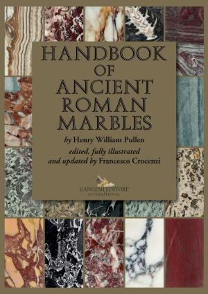 Cover of the book Handbook of ancient Roman marbles by Amparo Bernal López-Sanvicente, Ignacio Camarero Julián
