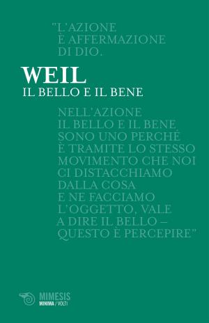 Book cover of Il Bello e il Bene