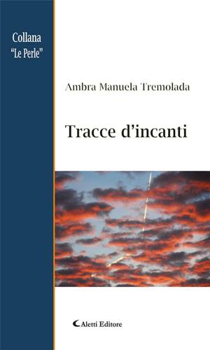 Cover of the book Tracce d’incanti by Ambra Proto