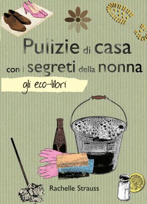 Book cover of Pulizie di casa con i segreti della nonna