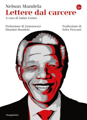 Cover of the book Lettere dal carcere by Elvio Giudici