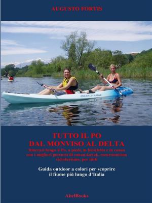 Book cover of Tutto il Po, dal Monviso al delta
