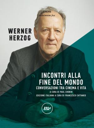 Cover of the book Incontri alla fine del mondo by Giordano Meacci