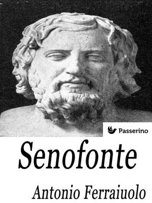 Book cover of Senofonte