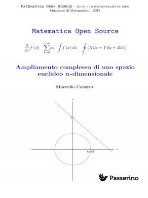 Cover of the book Ampliamento complesso di uno spazio euclideo n-dimensionale by Marcello Colozzo