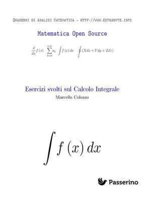 Cover of Esercizi svolti sul Calcolo Integrale
