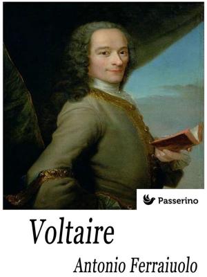 Cover of the book Voltaire by Marcello Colozzo