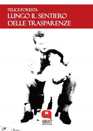 Cover of the book Lungo il sentiero delle trasparenze by Anna Travagliati