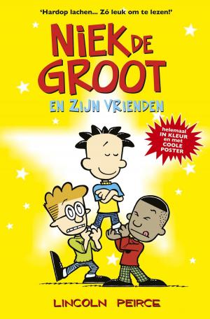 Book cover of Niek de Groot en zijn vrienden