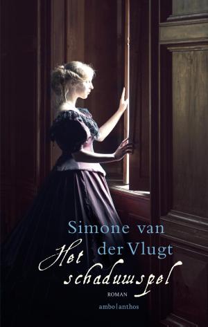Book cover of Het schaduwspel