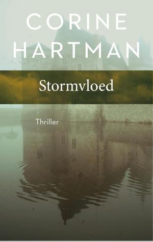 Book cover of Stormvloed