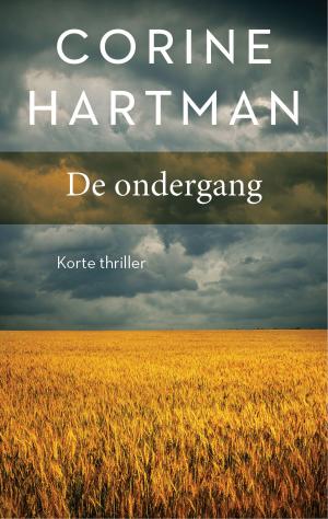 Cover of the book De ondergang by Colin Galbraith