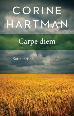 Cover of the book Carpe diem by Steve F Deslippe