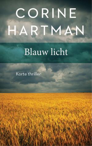 Cover of the book Blauw licht by JD Ferguson