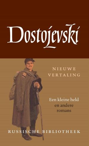 Cover of the book Een kleine held en andere romans by Lev Tolstoj