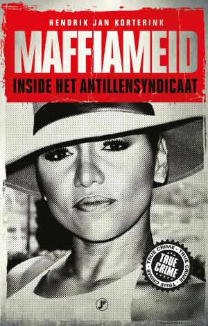 Cover of the book Maffiameid by Jack Garcia