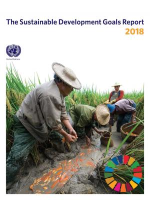 bigCover of the book The Sustainable Development Goals Report 2018 by 
