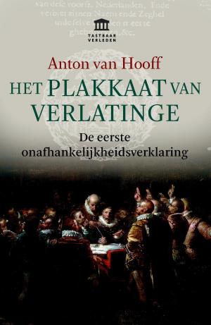 Cover of the book Het Plakkaat van Verlatinge by Lydia Schwarz