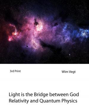 Cover of Light is the Bridge between God, Relativity and Quantum Physics