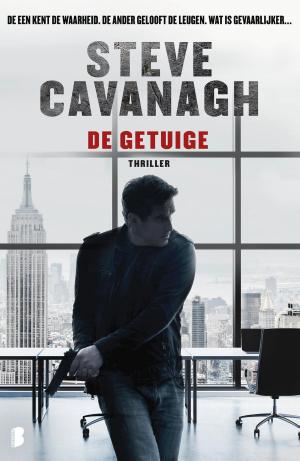 Cover of the book De getuige by James Hankins
