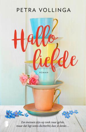 Cover of the book Hallo liefde by Marleen Janssen