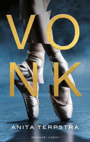 Cover of the book Vonk by Marten Toonder
