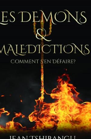 Cover of the book LES DEMONS ET MALEDICTIONS by Thierry Noiret