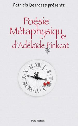 Book cover of Poésie Métaphysique d'Adélaïde Pinkcat