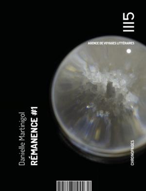 Book cover of Rémanence #1
