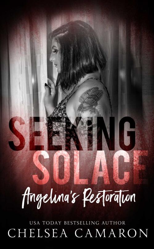 Cover of the book Seeking Solace by Chelsea Camaron, Carolina Dreams Publishing