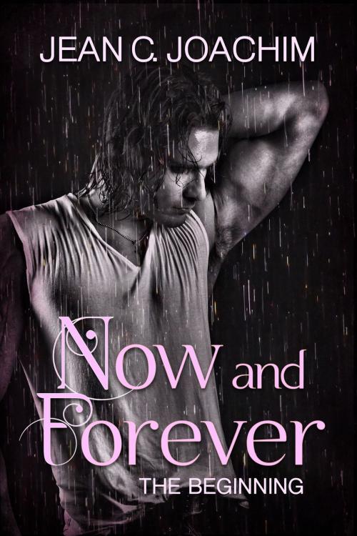 Cover of the book Now and Forever: The Beginning by Jean Joachim, Moonlight Books