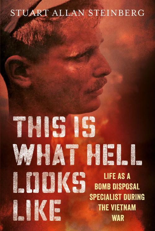 Cover of the book This Is What Hell Looks Like by Stuart Allan Streinberg, Fonthill Media