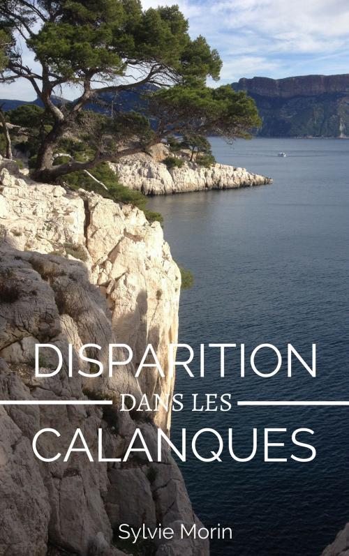 Cover of the book Disparition dans les calanques by SYLVIE MORIN, SYLVIE MORIN