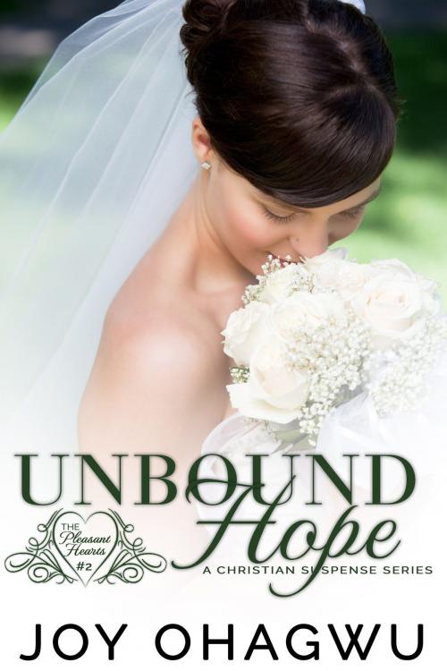 Cover of the book Unbound Hope by Joy Ohagwu, Life Fountain Books