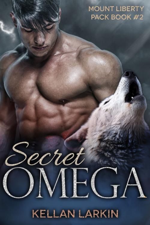 Cover of the book Secret Omega by Kellan Larkin, Exuberant Publishing