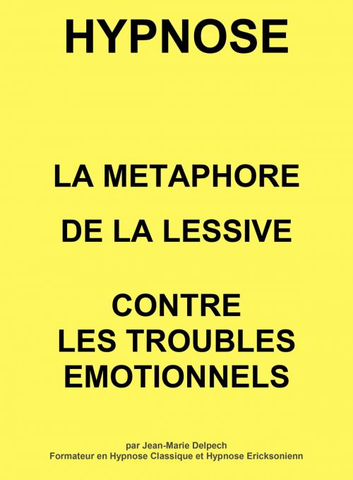 Cover of the book La métaphore de la lessive by Jean-Marie Delpech-Thomas, Jean-Marie Delpech-Thomas